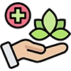 Holistic Healing Approach